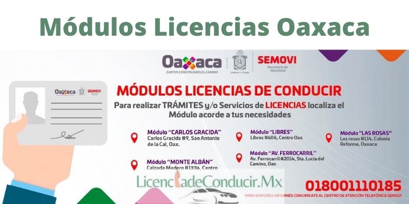 Licencia de Conducir Oaxaca ️【2025 】® SEMOVI Citas